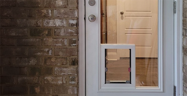 Glass door with built-in pet door installed, leading to an interior room.