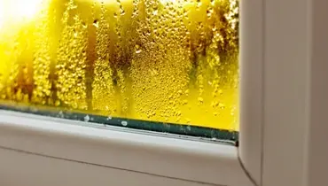 Foggy Windows