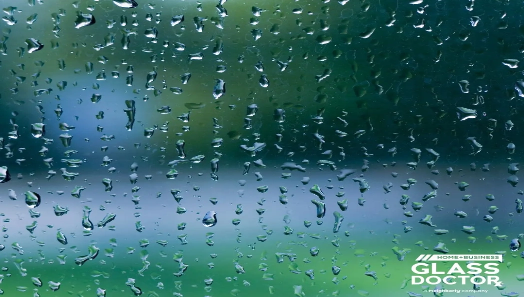 Condensation on residential window glass during winter in the Lowcountry Charleston and Summerville